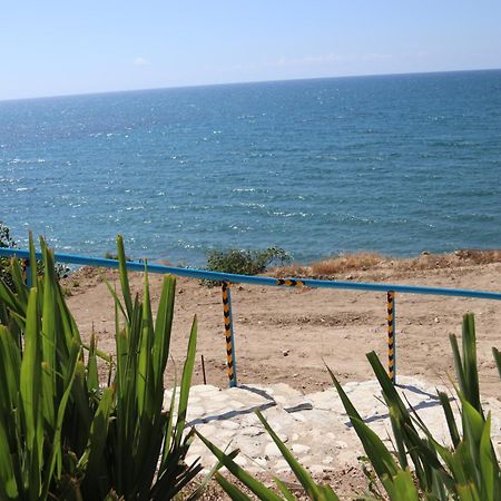 Summer Dream Cyprus Maroni エクステリア 写真