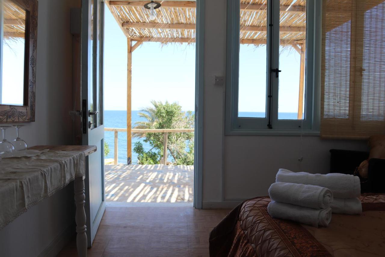 Summer Dream Cyprus Maroni エクステリア 写真