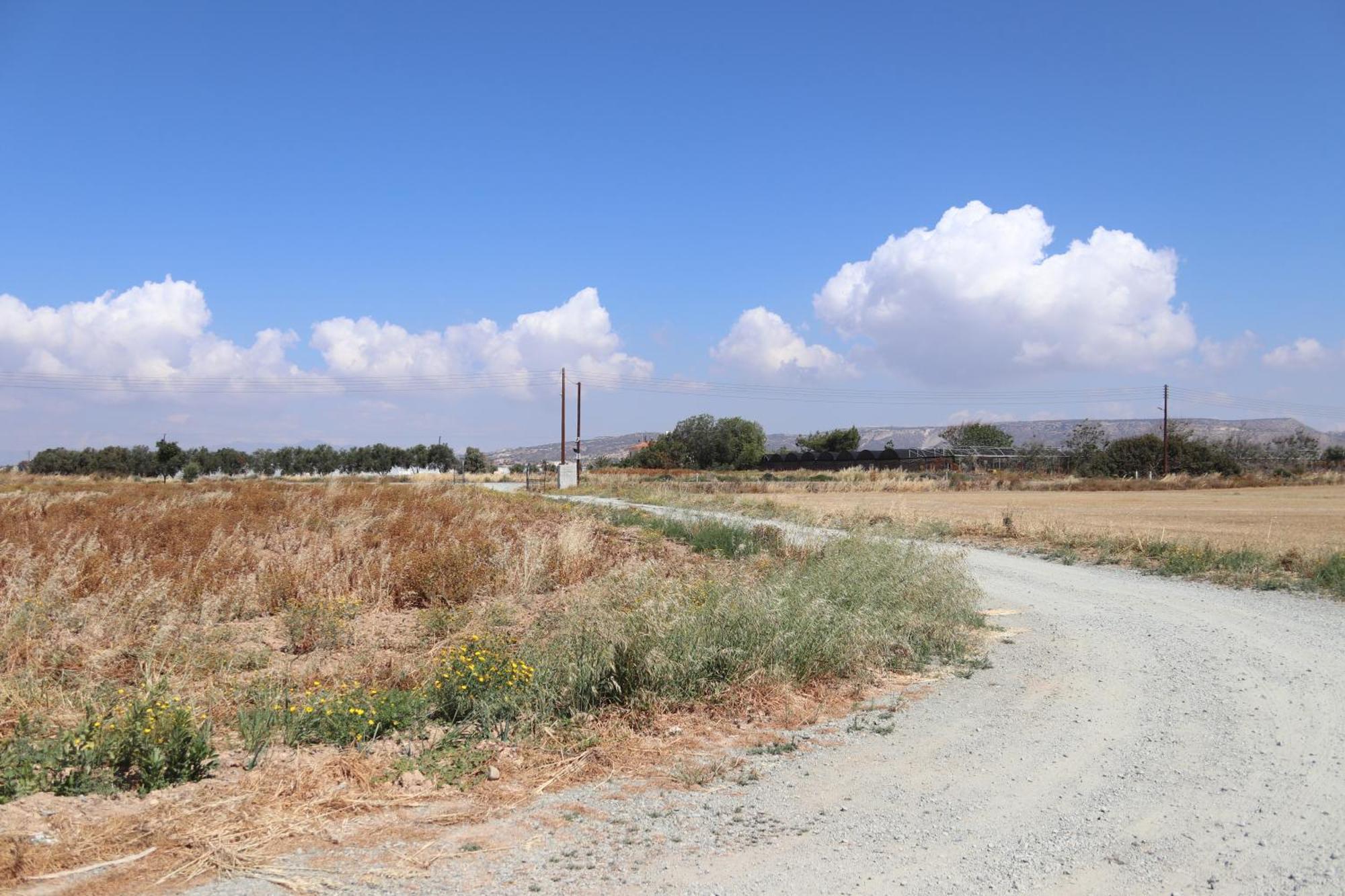 Summer Dream Cyprus Maroni エクステリア 写真