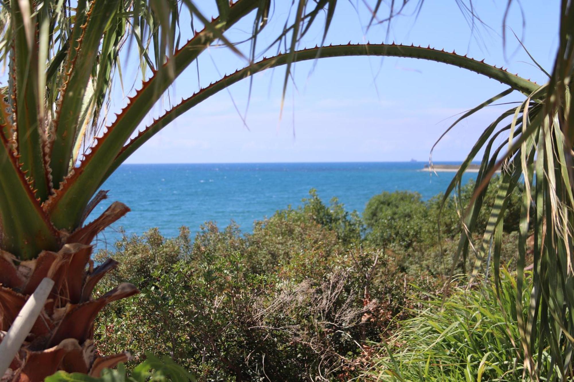 Summer Dream Cyprus Maroni エクステリア 写真